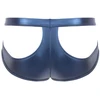 Briefs