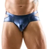 Briefs