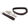 Bad Kitty Collar Antkaklis ir pavadėlis
