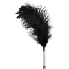 Bad Kitty Feather juodas acrylic
