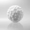 Tenga - Geo Coral