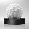 Tenga - Geo Coral