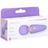Mini Vibe Microwand