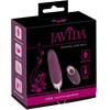 Javida RC Shaking Love Ball