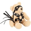 SM Teddy