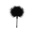 Chisa Pleasure Feather Tickler