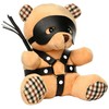 Xr Brands Oranžinis Master Series Burnt Oranžinis Bondage Bear Plush Toy 23cm