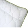 Comco Ergonominė pagalvė Aloe vera, 50x70