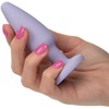 Calexotics Crystal Booty Kit Violetinė