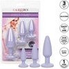 Calexotics Crystal Booty Kit Violetinė