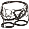 CalExotics Euphoria Plus Size Premium Thigh Harness with Chains