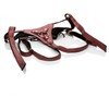 Calexotics Regal karalienė_