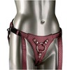 Calexotics Regal karalienė_