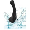 Calexotics The Royal Vibrating Set Pilkas