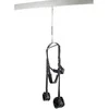 Pipedream FFS Spinning Fantasy Swing