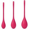 SATISFYER YONI POWER 1 MOKYMO RINKINYS