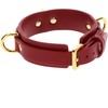 Taboom D-Ring Collar Deluxe