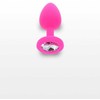 Toyjoy Diamond Booty Jewel Small _