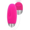 TOYJOY Funky Remote Egg