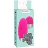 TOYJOY Funky Remote Egg