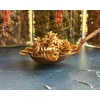 Ekologiški avinžirnių makaronai FUSILLI su jūros dumbliais Nori - 200 g