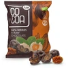 Ekologiški dumplainiai juodajame šokolade RAW, 70 g