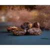 Ekologiškos Medjool datulės su kauliukais (šviežios) - 200 g