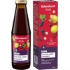 Vaisių ir žolelių gėrimas su medumi, geležimi ir vitaminais C, B1, B2, B6, B12, 450 ml, Rabenhorst