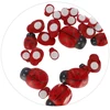 Dekoracija iš medžio CRAFT with FUN Ladybirds, lipni, 24 vnt., įvairių dydžių