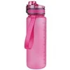 Gertuvė Brisk 600 ml, įvairių spalvų