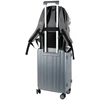 Kuprinė EDUCATION, Kite, 21 L, 940 g, pilkos sp.