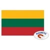 Magnetinis lipdukas LIETUVOS VĖLIAVA, 100x60mm