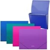 Plastikinis dėklas su skyriais Matinis VIVID, ErichKrause, A4, 700mkr, 12 skyrių, su guma, 4 sp.