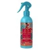 Purškiamas namų kvapas Tesori D'Oriente Ayurveda, 250 ml