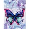 Centrum Rinkinys tapybai ant drobės pagal skaičius BUTTERFLY, 300x400mm