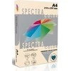 Spalvotas popierius SPECTRA COLOR, A4, 80gsm, 500 lapų, IT100 IVORY (dramblio kaulo sp.)