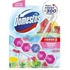 WC valiklis-gaiviklis DOMESTOS Power 5 Seaside Bloom Tropical, 55g