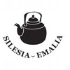 Ketaus katilas Silesia Emalia, 10l