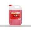 Aušinimo skystis(antifrizas-40C)raudonas5kg