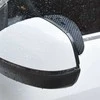 Automobilio veidrodėlio stogelis "Carbon"