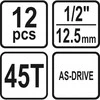 Galvučių rinkinys su terkšle | 12,5 mm (1/2") | 10-24 mm | 12 vnt