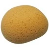 Kempinė natūrali 13x17x7cm ,praustis