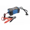 Pakrovėjas akumuliatoriui skaitmeninis 12V-6Ah-100Ah