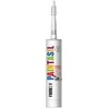 Silikonas dažomas PAINTASIL FOME FLEX 310ml baltas