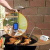Kaitlentė Retoo Belaidis maisto termometras kepsninei ir rūkyklai, LCD, 8 režimai