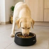 Virtuvinės svarstyklės Dubenėlis gyvūnams su integruotomis svarstyklėmis Livoo PET109N 800 ml, 5kg, nerūdijančiojo plieno, juodas