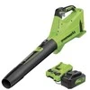 Akumuliatorinis lapų pūstuvas Greenworks BL24L411-01; 24 V; 1x4,0 Ah akum.