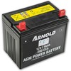 Akumuliatorius 12V 16AH, AGM Technology, 197x130x170 mm, Arnold