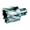 EXACT GMBH Grežimo karūna Exact 33113; HSS Co5; 13x30 mm