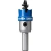 Bosch Karbido pjovimo karūna Skarda 20mm